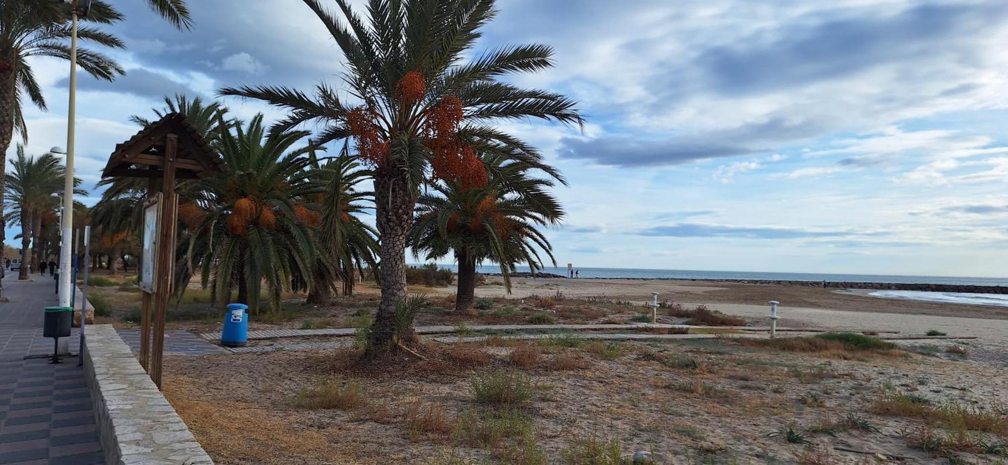 Vacaciones En El Mar Appartement Sagunto Buitenkant foto